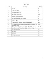 Hướng dẫn học sinh giỏi lớp 9 một số kĩ thuật giải hệ phương trình bằng phương pháp thế và phương pháp cộng đại số 