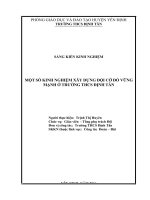 Một số kinh nghiệm xây dựng đội cờ đỏ vững mạnh ở trường THCS định tân 