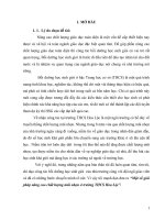 Một số giải pháp nâng cao chất lượng mũi nhọn ở trường THCS hoa lộc 