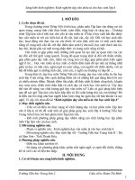 Kinh nghiệm dạy văn miêu tả cho học sinh lớp 4 