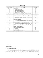 Sử dụng BĐTD để dạy bài 20 vùng đồng bằng sông hồng 