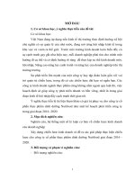 Xây dựng chiến lươc kinh doanh và đề ra các giải pháp thực hiện chiến lược cho công ty cổ phần thực phẩm dinh dưỡng nutifood giai đoạn 2016  2020 