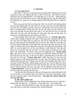 Kinh nghiệm dạy giải toán chuyển động đều cho học sinh lớp 5  