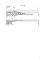 Phương pháp thực nghiệm trong dạy học môn vật lý nhằm góp phần nâng cao đội tuyển học sinh giỏi ở trường THCS 