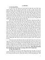 Biện pháp bồi dưỡng học sinh giỏi ngữ văn 9 trường THCS DTNT quan sơn 