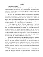 Nghiên cứu quy hoạch giao thông vận tải quận hải an, thành phố hải phòng đến năm 2025 