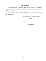 Nghiên cứu đánh giá tình hình xâm nhập mặn khu vực cửa sông hoá   sông thái bình trong điều kiện biến đổi khí hậu và nước biển dâng 