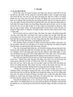 Rèn luyện kỹ năng viết đoạn văn miêu tả cho học sinh THCS 