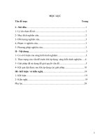 Giáo dục học sinh lớp 6 trường THCS đông ninh nâng cao nhận thức và phát huy giá trị vốn văn hóa dân tộc thông qua một số bài mỹ thuật 