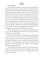 Một số kinh nghiệm sử dụng hiệu quả đồ dùng dạy học môn toán lớp 3 trường tiểu học đông nam, đông sơn, thanh hóa 