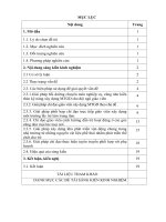 Một số giải pháp chỉ đạo xây dựng môi trường hoạt động giáo dục nhằm kích thích trẻ tích cực tham gia hoạt động tại trường MN nga thủy  