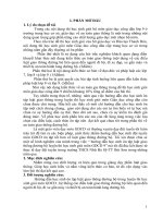 Hướng dẫn học sinh ôn tập tốt luật giao thông trong luyện thi học sinh giỏi môn GDCD 9 ở trường THCS nhữ bá sỹ   thị trấn bút sơn 