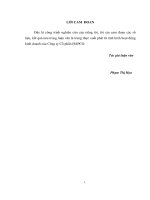 Một số biện pháp nâng cao hiệu quả sử dụng vốn kinh doanh tại công ty cổ phầnHAPACO 