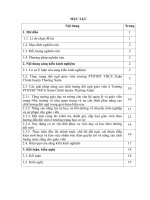 Một số giải pháp nâng cao chất lượng đội ngũ giáo viên ở trường PTDTBT THCS xuân chinh huyện thường xuân 