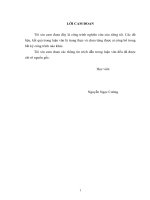 Nghiên cứu sự làm việc của cọc với đất nền, sử dụng các tiêu chuẩn, quy chuẩn thiết kế công trình bến cảng kết hợp với các phần mềm ứng dụng để tính toán 