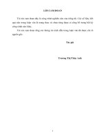 Hoàn thiện công tác quản lý tài chính đội tàu biển của công ty cổ phần vận tải biển việt nam 