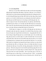 Một số kinh nghiệm quản lý, khai thác sử dụng DĐDH nhằm nâng cao chất lượng giờ dạy ở trường THCS liên lộc 
