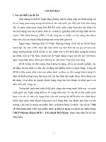 Một số giải pháp phát triển sản phẩm dịch vụ khách hàng cá nhân tại ngân hàng TMCP phương đông (OCB) – chi nhánh hải phòng 