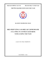 Biện pháp nâng cao hiệu quả kinh doanh của công ty cổ phần giám định năng lượng việt nam 