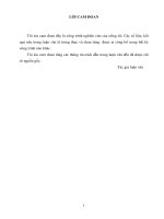 ứng dụng dùng trong các hệ thống chỉ báo góc lái  thuật toán và mô hình đề xuất cũng cho phép có thể áp dụng trên tàu thủy 