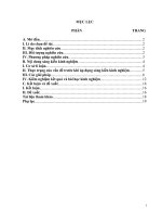 Sử dụng công nghệ thông tin và bản đồ tư duy nhằm nâng cao hiệu quả dạy và học lịch sử địa phương (bài thanh hóa từ năm 1919 đến năm 1945)  