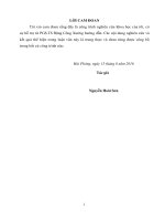 Một số biện pháp tăng cường chống thất thu thuế nhập khẩu qua áp mã số hàng hóa nhập khẩu tại cục hải quan thành phố hải phòng 