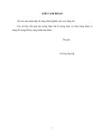 Biện pháp nâng cao hiệu quả kinh doanh dịch vụ nhập khẩu ô tô đã qua sử dụng tại công ty TNHH hiệp hòa 