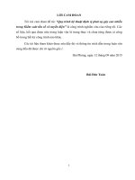 Quy trình kỹ thuật định vị phát xạ gây can nhiễu trong kiểm soát tần số vô tuyến điện 