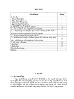 Giải pháp đạt hiệu quả trong quản lý chuyên môn nhằm nâng cao chất lượng giáo dục ở trường THCS xuân lộc 