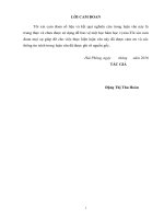 Một số biện pháp hoàn thiện môi trường đầu tư của thành phố hải phòng giai đoạn 2016 2020 