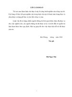 Hoàn thiện công tác thẩm định tài chính các dự án đầu tư cho vay trung và dài hạn tại ngân hàng TMCP công thương việt nam 