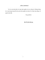 Tăng cường công tác kiểm tra sau thông quan trong lĩnh vực mã số, thuế suất hàng hóa xuất nhập khẩu tại chi cục kiểm tra sau thông quan  cục hải quan TP  hải phòng 