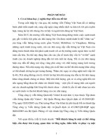 giải pháp về dịch vụ chăm sóc khách hàng mạng di động của viettel 