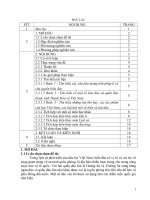 Kinh nghiệm dạy tiết “hoạt động ngữ văn 7, chủ đề “giáo dục chủ quyền biển đảo” ở trường THCSTHPT như thanh 