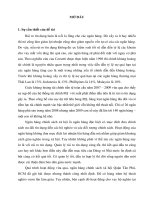 Một số biện pháp hạn chế rủi ro tín dụng đối với hộ nghèo tại ngân hàng chính sách xã hội quận tân phú 