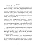 Luận văn nâng cao chất lượng bê tông công trình thủy lợi sử dụng ván khuôn kiểm soát thấm 