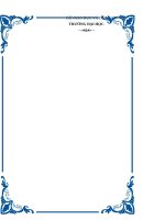 Tiểu luận Emarketing:XÂY DỰNG KẾ HOẠCH EMARKETING CHO CÔNG TY CỔ PHẦN QUÀ TẶNG SÁNG TẠO VIỆT NAM INOGIFT