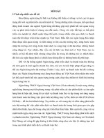 Biện pháp phát triển dịch vụ thanh toán thẻ tại ngân hàng TMCP ngoại thương việt nam – chi nhánh hải phòng 