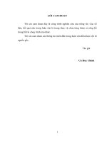 Nghiên cứu tính toán ổn định cho giàn tự nâng khi di chuyển và trong khai thác 