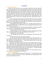 Một số biện pháp rèn kĩ năng giải toán có lời văn cho học sinh lớp 5 