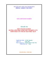 Một số kinh nghiệm hướng dẫn học sinh HCS nghiên cứu khoa học kỹ thuật đạt hiệu quả 