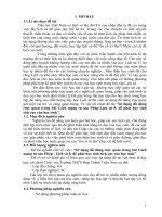 Sử dụng đồ dùng trực quan trong bài cách mạng tư sản pháp để phát huy tính tích cực của học sinh trong học tập lịch sử 