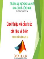 Bài thuyết trình: Giới thiệu về cấu trúc dữ liệu và biến trong phần mềm Matlab