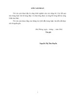 Một số biện pháp nâng cao hiệu quả hoạt động tín dụng tại ngân hàng TMCP đầu tư và phát triển việt nam – chi nhánh hải phòng 