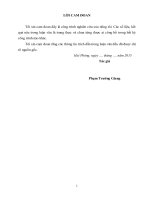 Biện pháp nâng cao hiệu quả hoạt động dịch vụ ngân hàng điện tử e banking tại ngân hàng TMCP đầu tƣ và phát triển VN chi nhánh hải phòng (BIDV hải phòng) 