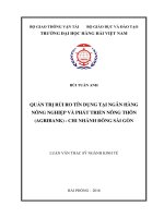 Thực trạng và giải pháp hoàn thiện quản trị rủi ro tín dụng tại ngân hàng nông nghiệp và phát triển nông thôn (agribank)   chi nhánh đông sài gòn 