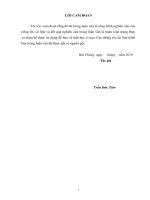 Một số biện pháp hoàn thiện công tác quản trị nguồn nhân lực tại đài phát thanh và truyền hình hải phòng 