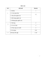 Một số giải pháp nhằm nâng cao chất lượng bồi dưỡng học sinh giỏi môn lịch sử lớp 9 trung học cơ sở 