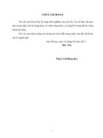 Một số biện pháp nâng cao hiệu quả sử dụng vốn lưu động tại công ty TNHH ô tô hoa mai 