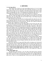 Một số kinh nghiệm giúp học sinh lớp 5 học tốt văn miêu tả 